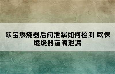 欧宝燃烧器后阀泄漏如何检测 欧保燃烧器前阀泄漏